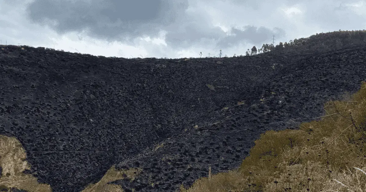 Incendio en el cerro Casitagua moviliza a vecinos de Quito